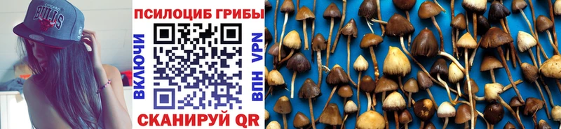 Псилоцибиновые грибы Psilocybe OMG ONION Верхнеуральск цена наркотик